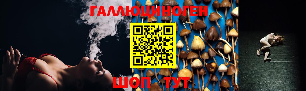 Псилоцибиновые грибы MAGIC MUSHROOMS Карталы